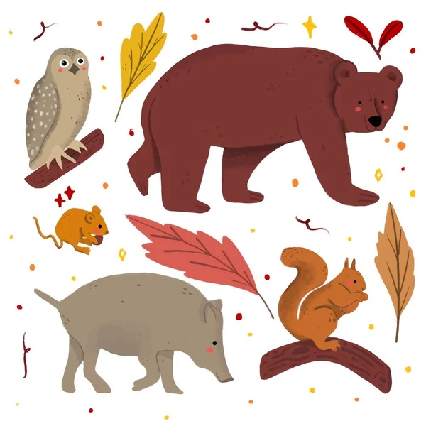 Dibujado Mano Otoño Bosque Animales Conjunto Vector Diseño Ilustración — Archivo Imágenes Vectoriales