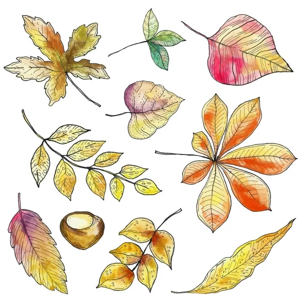 Dessin Main Feuilles Automne Pack Vectoriel Illustration Conception — Image vectorielle