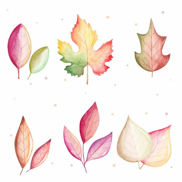 Watercolor Autumn Leaves Collection Vector Design Illustration — Stock Vector