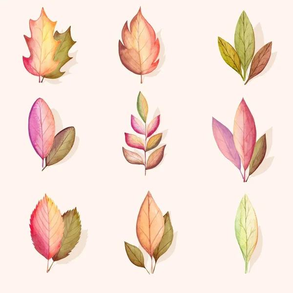 Aquarell Herbst Blätter Sammlung Vektor Design Illustration — Stockvektor