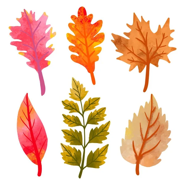 Dessin Main Automne Feuilles Collection Vectoriel Dessin Illustration — Image vectorielle