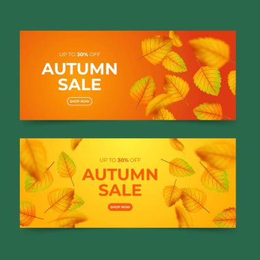 gerçekçi sonbahar pankartları vektör tasarım resimlemesi