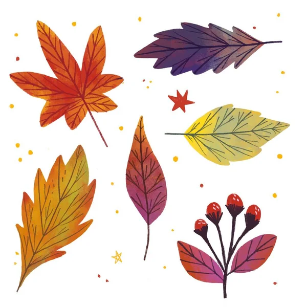 Hand Drawn Autumn Leaves Collection Vector Design Illustration — Stock Vector