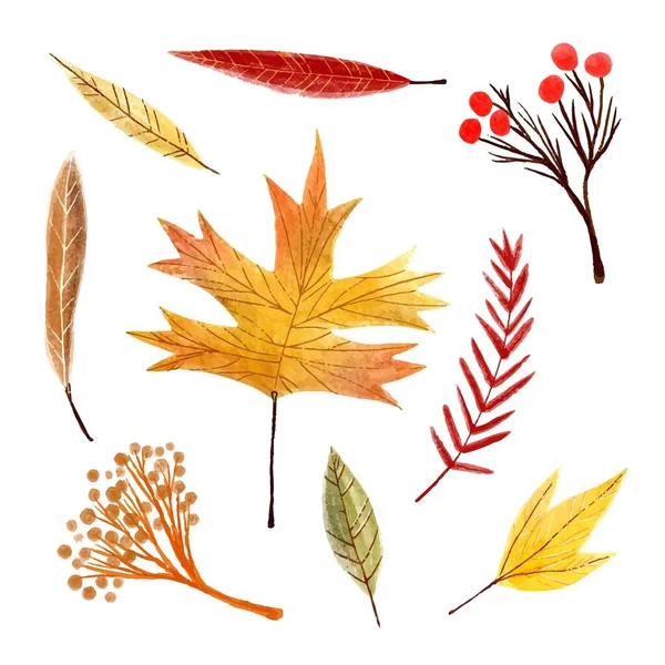 Aquarelle Automne Feuilles Collection Vectoriel Conception Illustration — Image vectorielle