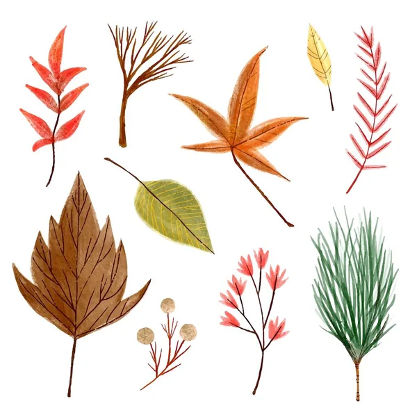 Aquarell Herbst Blätter Sammlung Vektor Design Illustration — Stockvektor