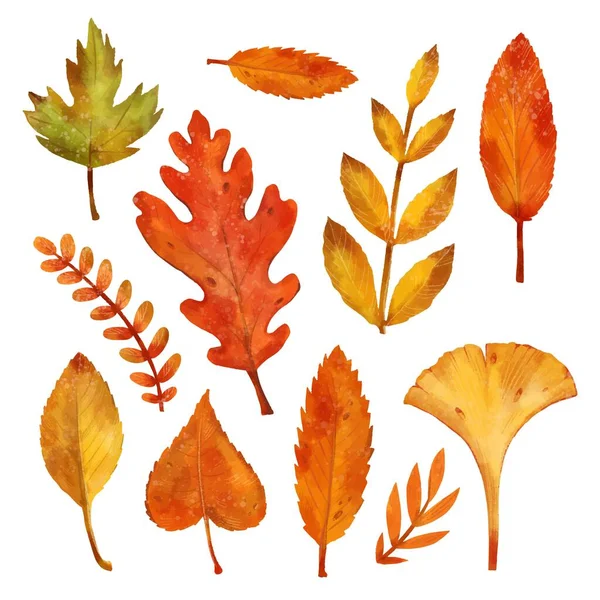 Aquarell Herbst Blätter Sammlung Vektor Design Illustration — Stockvektor