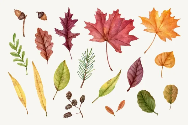 Aquarelle Automne Feuilles Collection Vectoriel Conception Illustration — Image vectorielle