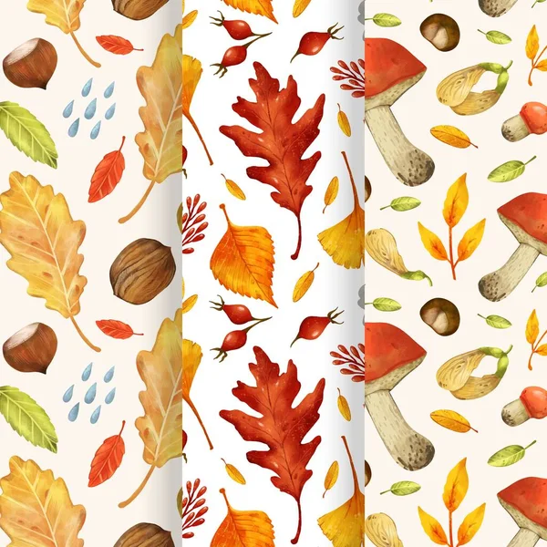 水彩画秋季图案采集矢量设计图解 — 图库矢量图片