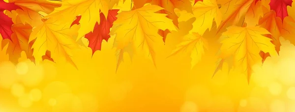 Realistic Autumn Social Media Cover Template Vector Design Illustration — Stock Vector