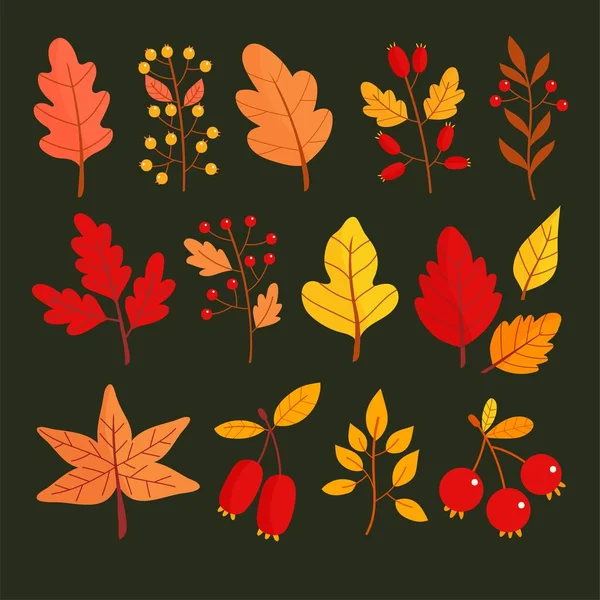 Hand Drawn Autumn Leaves Collection Vector Design Illustration — Stock Vector