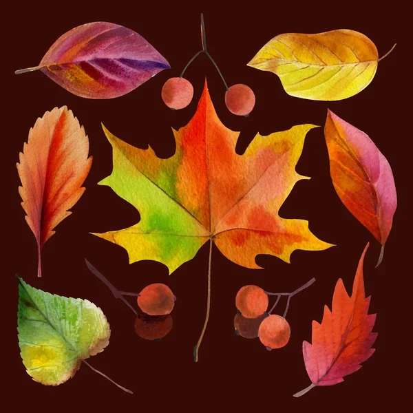 Aquarell Stil Herbst Blätter Sammlung Vektor Design Illustration — Stockvektor