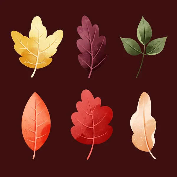 Akvarel Styl Podzimní Listí Kolekce Vektorový Design Ilustrace — Stockový vektor