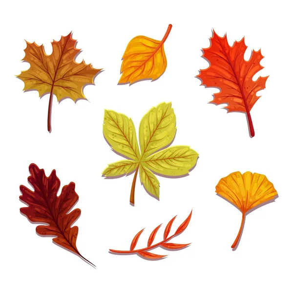 Plat Automne Feuilles Collection Vectoriel Dessin Illustration — Image vectorielle