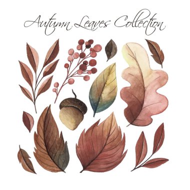 suluboya stili sonbahar koleksiyon vektör tasarımı illüstrasyonunu terk eder