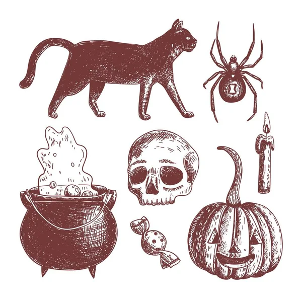 Ręcznie Rysowane Halloween Element Kolekcja Wektor Projekt Ilustracja — Wektor stockowy