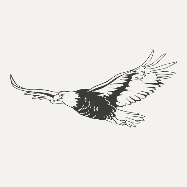 Ілюстрація орла. Чорно-білий стиль — стоковий вектор