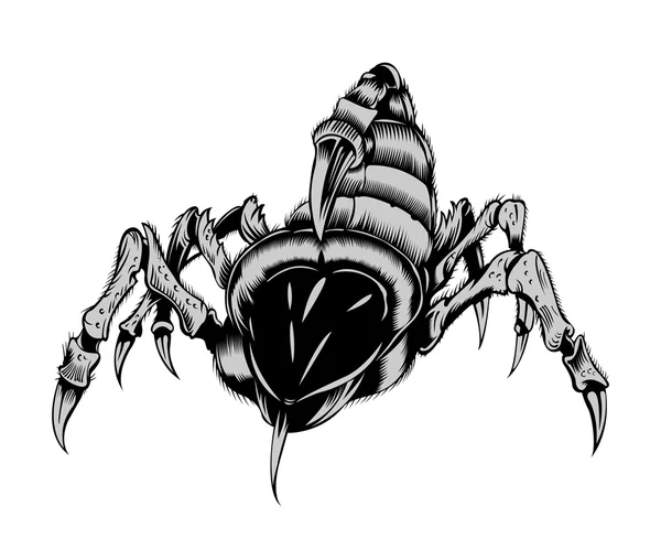 Illustration du Scorpion . — Image vectorielle