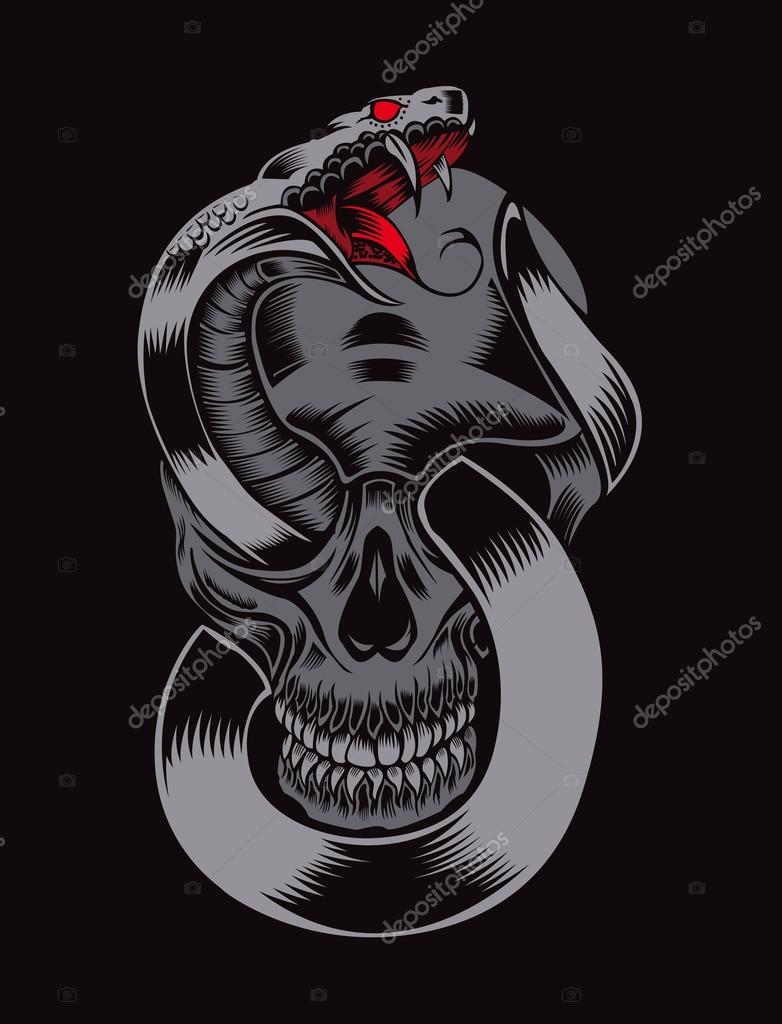Illustration Of Skull With Cobra Stock Vector Image By C Julianna Million