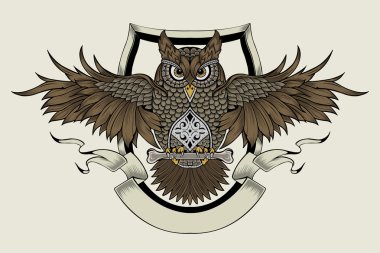 baykuş resmi.