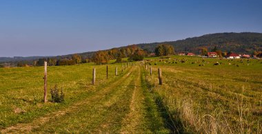 Akşamın erken saatlerinde dağlarda