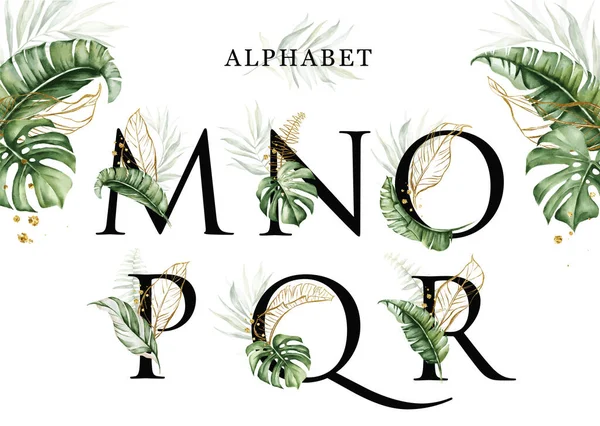 Alphabet Set Tropical Leaves Watercolor Gold Leaves Para Logotipo Nome —  Vetores de Stock