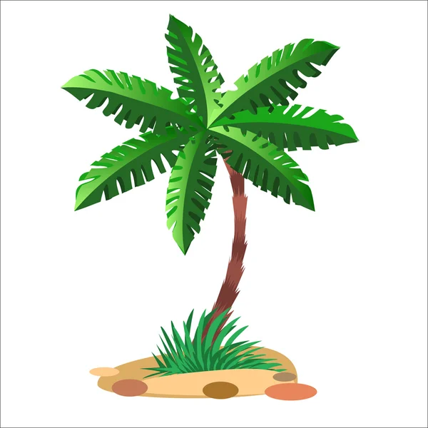 Palmera verde sobre un fondo neutro — Vector de stock