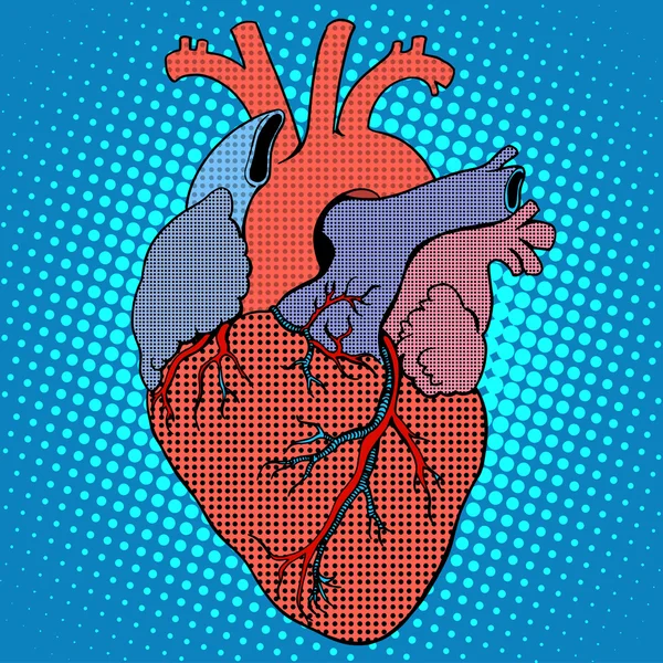 Anatomía corazón humano estilo retro — Vector de stock