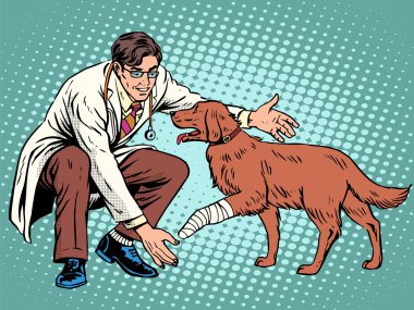 Veteriner köpeği yaralı pençe