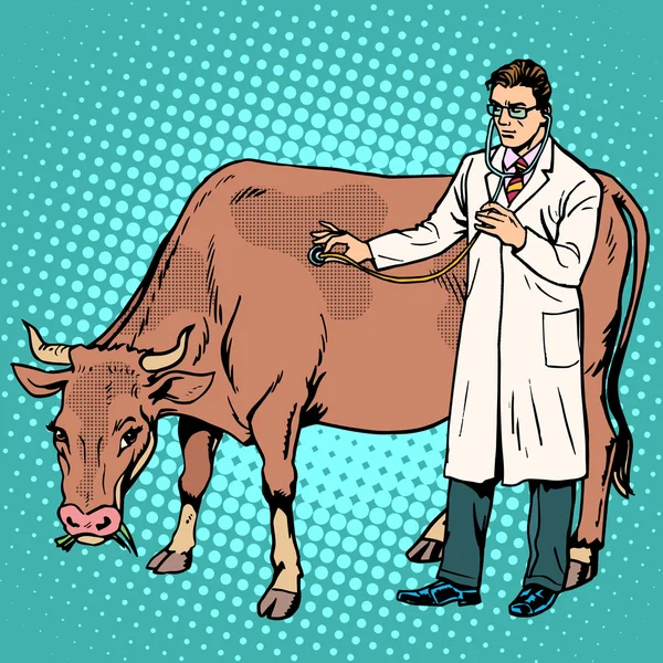 Állatorvos kezeli egy tehén farmon állat gyógyszer — Stock Vector