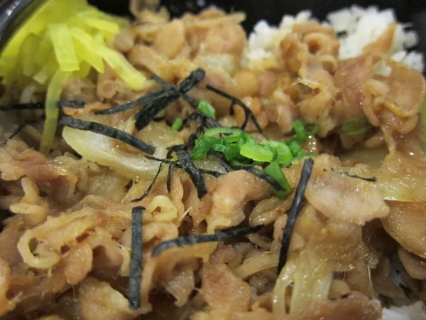 Arroz de gengibre de frango japonês — Fotografia de Stock