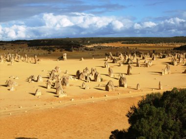 Nambung Milli Parkı içinde doruk