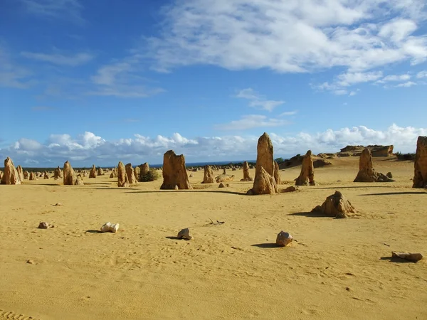 Pinnacle in Nambung nationaal park — Stockfoto