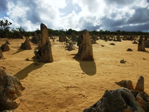 Pinnacle in Nambung nationaal park — Stockfoto