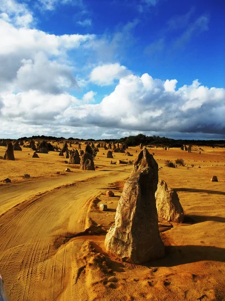 Pinnacle in Nambung nationaal park — Stockfoto