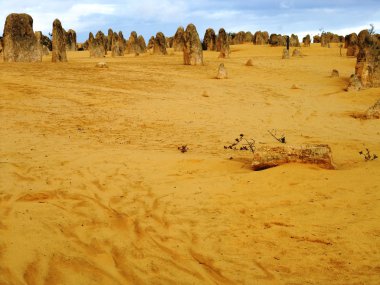 Nambung Milli Parkı içinde doruk