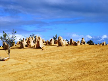 Nambung Milli Parkı içinde doruk