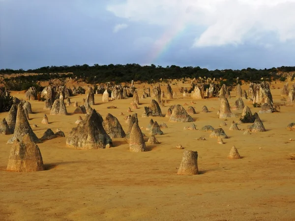 Pinnacle in Nambung nationaal park — Stockfoto