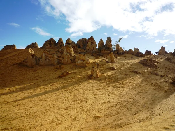 Pinnacle in Nambung nationaal park — Stockfoto