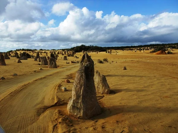 Pinnacle in Nambung national park — Stock Photo, Image