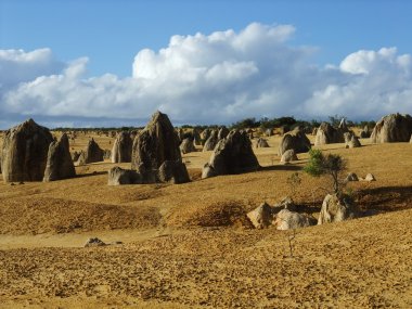 Nambung Milli Parkı içinde doruk
