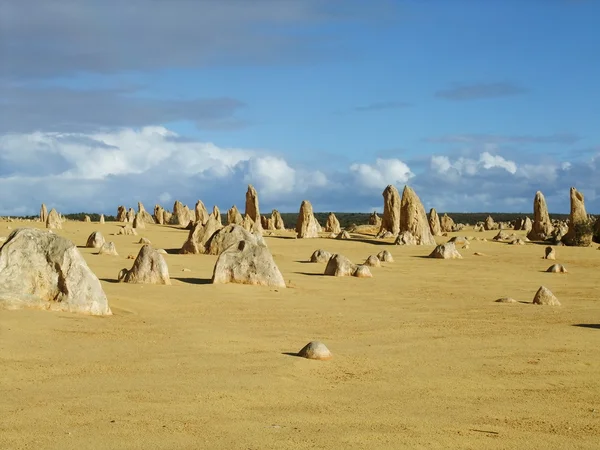 Pinnacle in Nambung national park — Stock Photo, Image