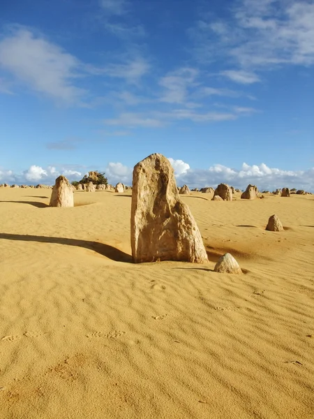 Pinnacle in Nambung nationaal park — Stockfoto