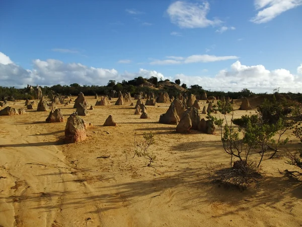 Höhepunkt im Nambung Nationalpark — Stockfoto