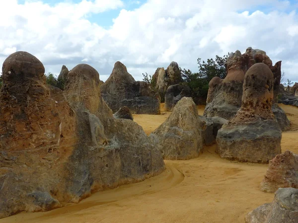 Pinnacle in Nambung nationaal park — Stockfoto