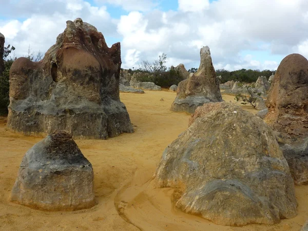 Pinnacle in Nambung nationaal park — Stockfoto