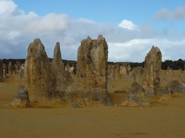 Pináculo no parque nacional de Nambung — Fotografia de Stock