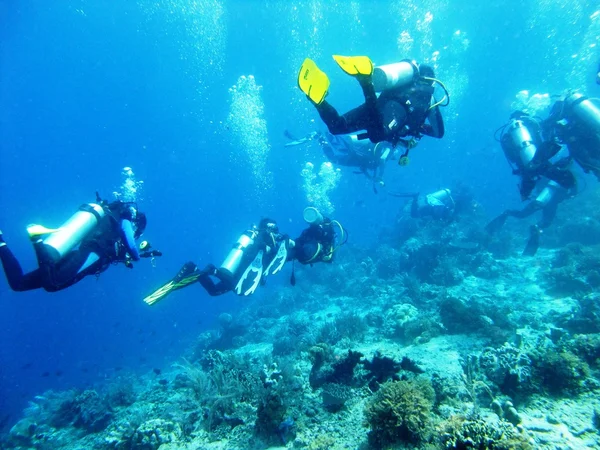 Divers — Stock Photo, Image