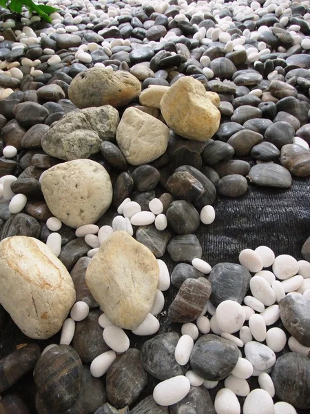 Гальковий каменів — стокове фото
