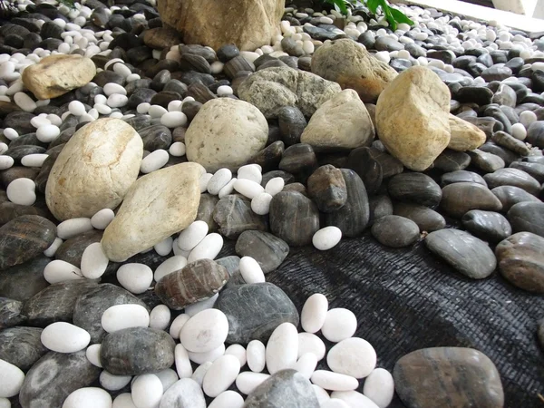 Piedras de guijarro — Foto de Stock