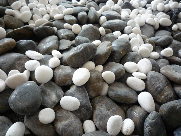 Piedras de guijarro — Foto de Stock